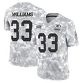 GB.Packers #33 Evan Williams Player Arctic Camo Salute To Service Limited BALCE Stitched Jerseys