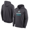 M.Dolphins ## Dolphins Blank Player Anthracite Pullover Hoodies Limited BALCE Stitched Jerseys